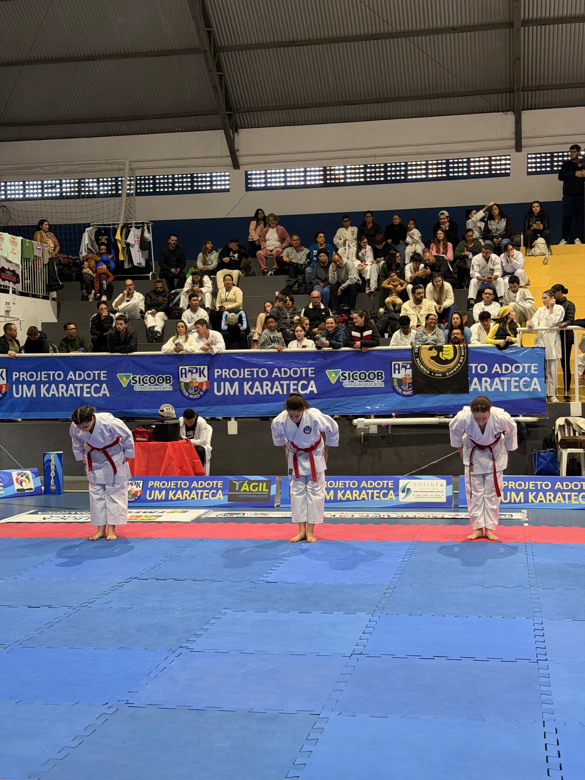 No momento, você está visualizando Copa Palhoça de Karatê-Do – A Copa de todos os Karatecas